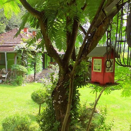 Villa Etno-Kuca "Leka" Klisura à Despotovac Extérieur photo