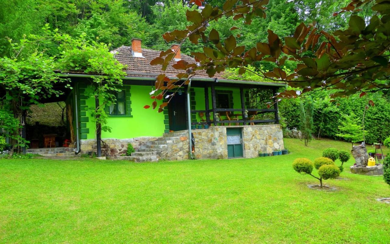 Villa Etno-Kuca "Leka" Klisura à Despotovac Extérieur photo