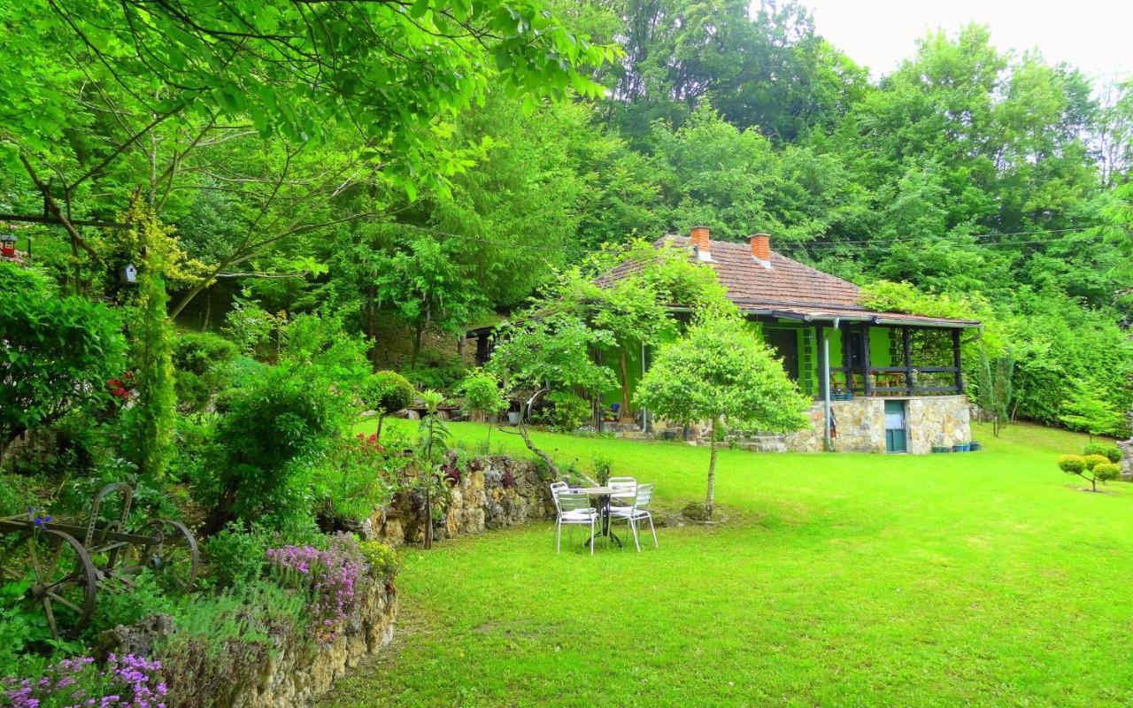 Villa Etno-Kuca "Leka" Klisura à Despotovac Extérieur photo