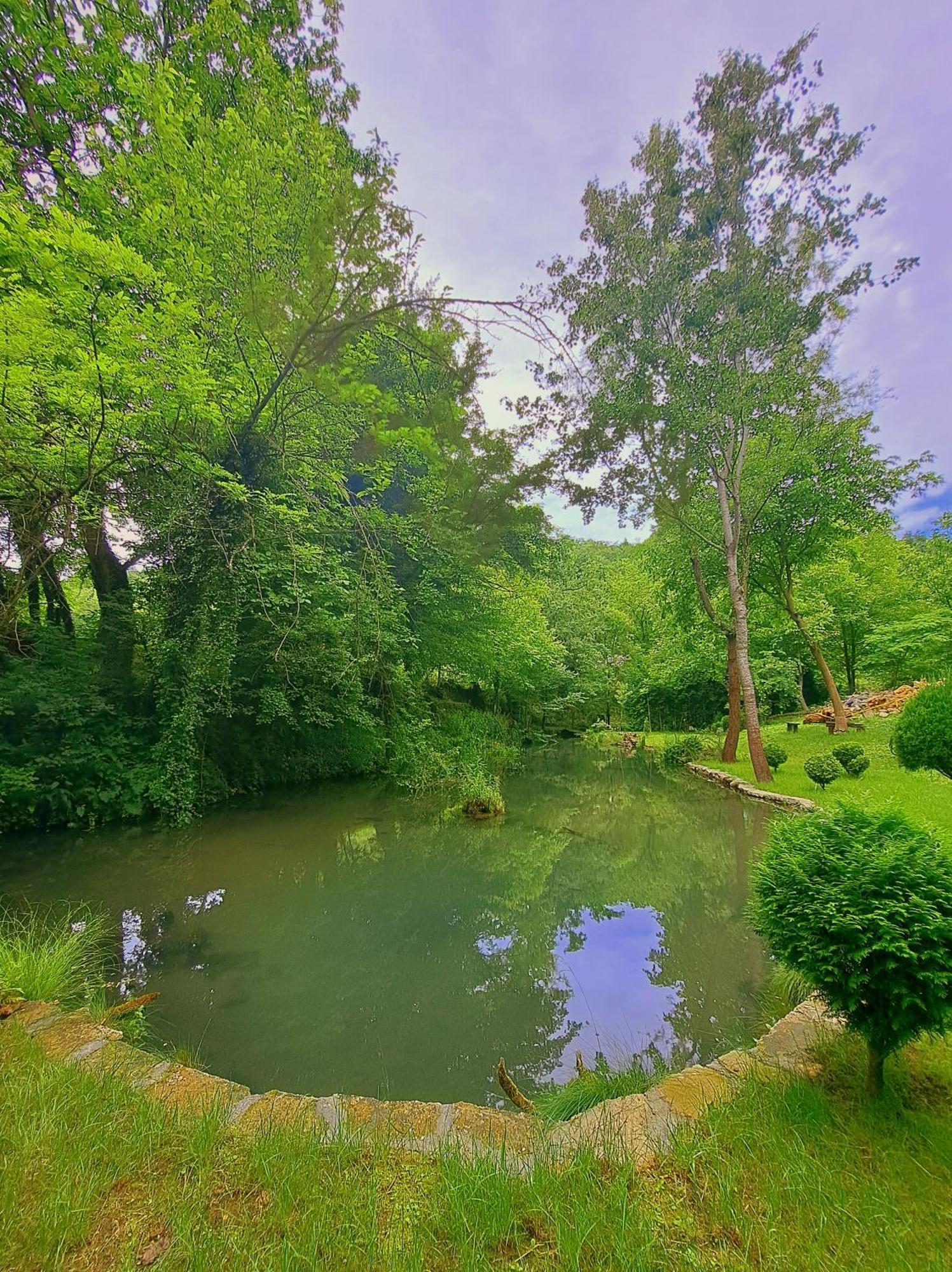 Villa Etno-Kuca "Leka" Klisura à Despotovac Extérieur photo