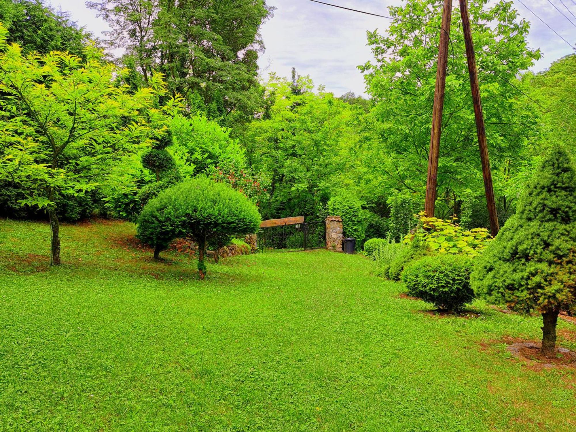 Villa Etno-Kuca "Leka" Klisura à Despotovac Extérieur photo