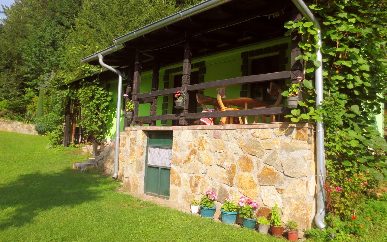 Villa Etno-Kuca "Leka" Klisura à Despotovac Extérieur photo