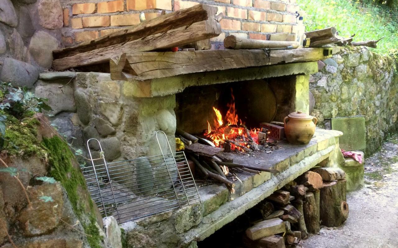 Villa Etno-Kuca "Leka" Klisura à Despotovac Extérieur photo