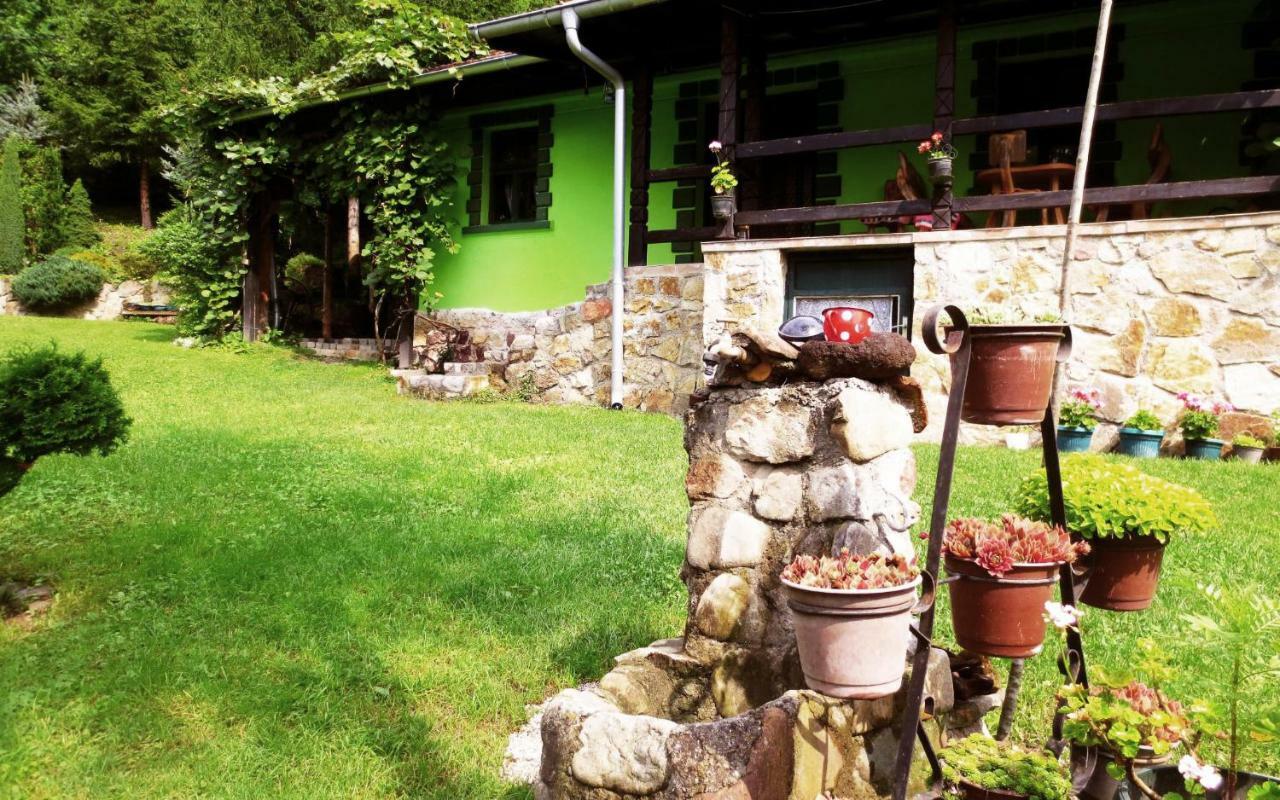 Villa Etno-Kuca "Leka" Klisura à Despotovac Extérieur photo